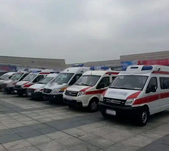 陵水服务车队展示